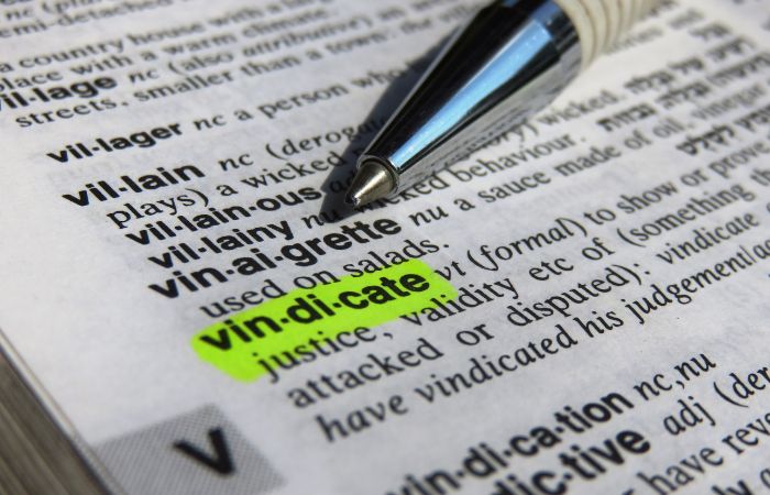 Negative Words That Start with V - vindicate